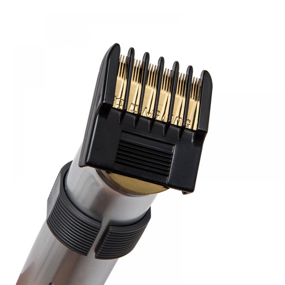 Dingli Professional hair trimmer  RF-608